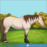 Horse Color:Bay Roan Dun Varnish 