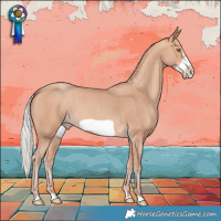 Horse Color:Silver Amber Champagne Frame