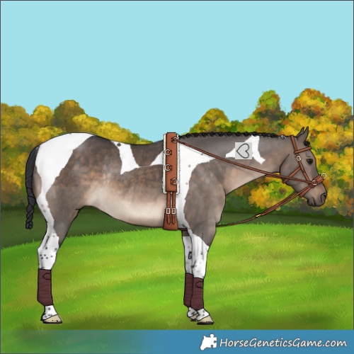 Horse Color:Brown Dun Tobiano Rabicano 
