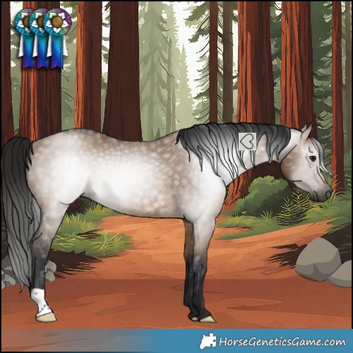 Horse Color:Gray Brown Dun Rabicano 