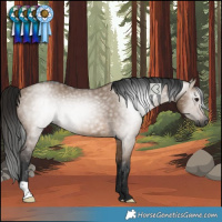 Horse Color:Gray Brown Dun Rabicano