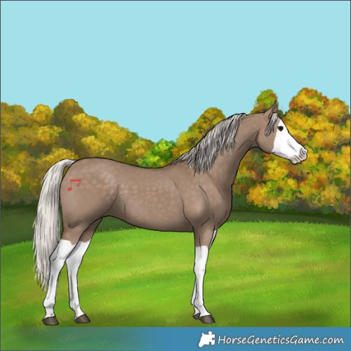 Horse Color:Silver Grullo Splash