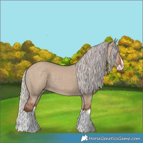 Horse Color:Silver Grullo Splash