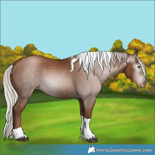 Horse Color:Gray Silver Black Pearl Tobiano 