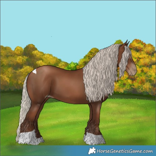 Horse Color:Gray Silver Black Pearl Tobiano