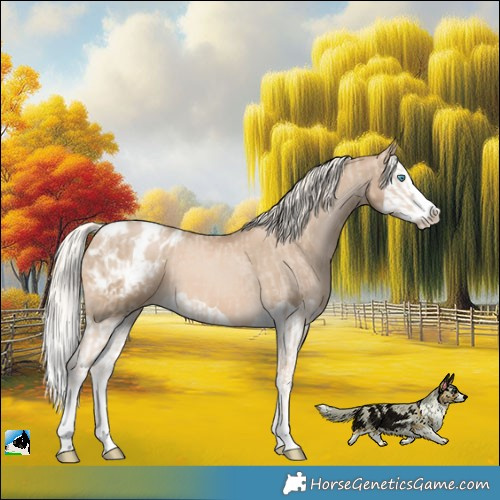 Horse Color:Cremello Splash Blanket and Chocolate Palomino Pearl Splash Blanket