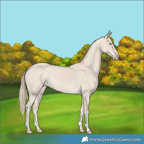 Horse Color:Smoky Creme 