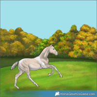 Horse Color:Cremello Tobiano 