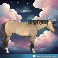 Horse Color:Buckskin Dun Rabicano 