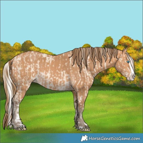 Horse Color:Cremello Splash and Gray Perlino Splash