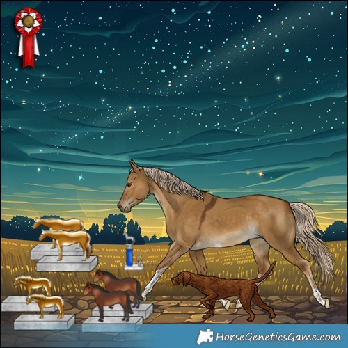 Horse Color:Chocolate Palomino Dun Tobiano Rabicano 