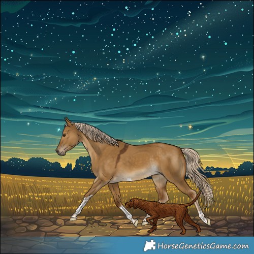 Horse Color:Chocolate Palomino Dun Tobiano Rabicano