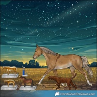 Horse Color:Chocolate Palomino Dun Tobiano Rabicano 