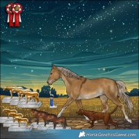 Horse Color:Chocolate Palomino Dun Tobiano Rabicano