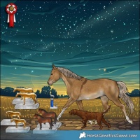 Horse Color:Chocolate Palomino Dun Tobiano Rabicano 