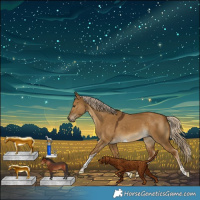 Horse Color:Chocolate Palomino Dun Tobiano Rabicano