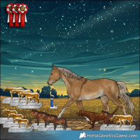 Horse Color:Chocolate Palomino Dun Tobiano Rabicano 