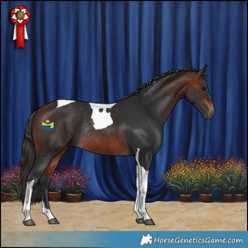 Horse Color:Bay Tobiano Rabicano 