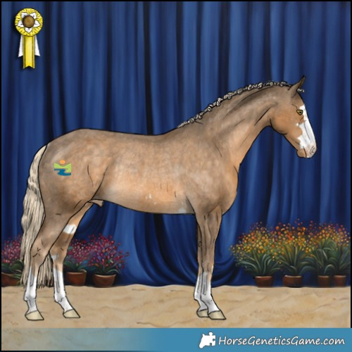Horse Color:Chocolate Palomino Appaloosa Rabicano 