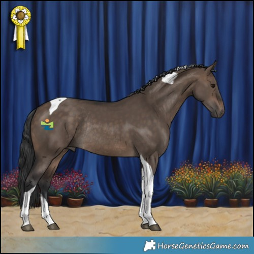 Horse Color:Brown Dun Tobiano Rabicano 