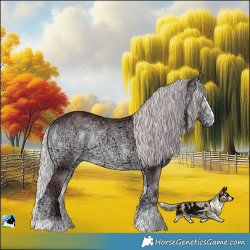 Horse Color:Chocolate Silver Brown Chinchilla Ice Onyx Sabino Rabicano