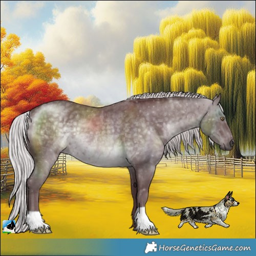 Horse Color:Chocolate Silver Black Chinchilla Rabicano 