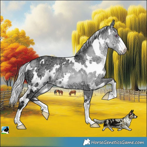Horse Color:White Spotted Silver Brown Chinchilla Ice Dun