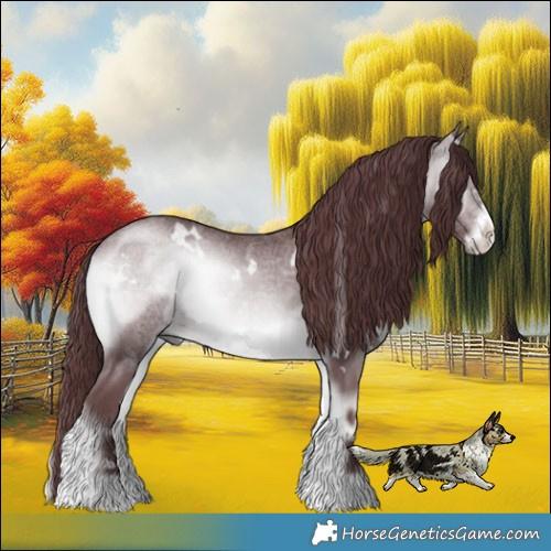 Horse Color:White Spotted Chocolate Brown Chinchilla Onyx Sabino Rabicano 