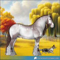 Horse Color:White Spotted Chocolate Brown Chinchilla Onyx Sabino Rabicano