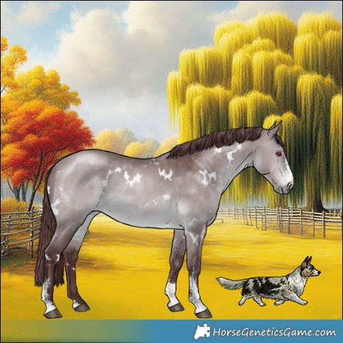 Horse Color:White Spotted Chocolate Brown Chinchilla Sabino Rabicano