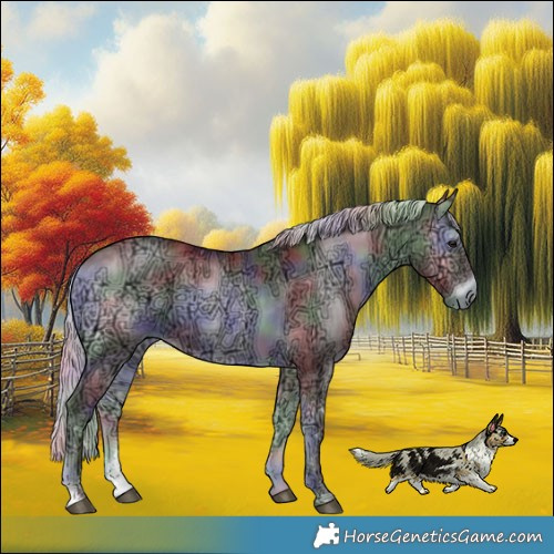 Horse Color:Nacre Chocolate Silver Blue Onyx Chinchilla Ice Sabino Rabicano
