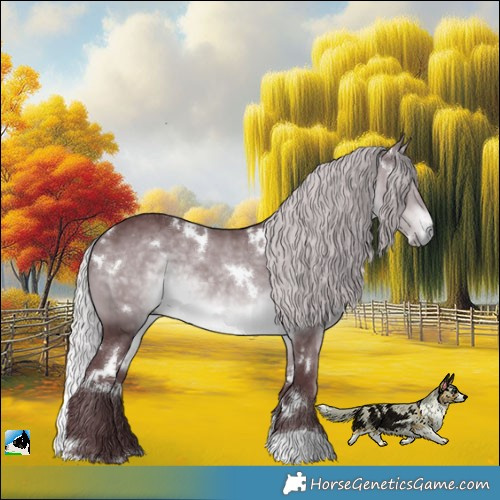 Horse Color:White Spotted Chocolate Silver Brown Chinchilla Rabicano 