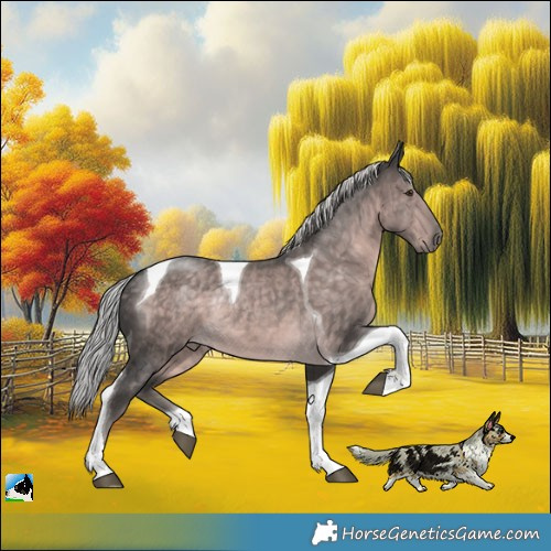 Horse Color:Platinum Chocolate Palomino Tobiano Rabicano 