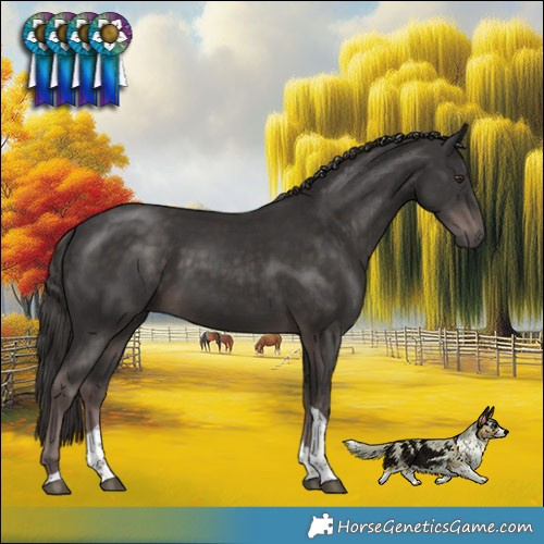 Horse Color:Platinum Liver Chestnut Tobiano Rabicano