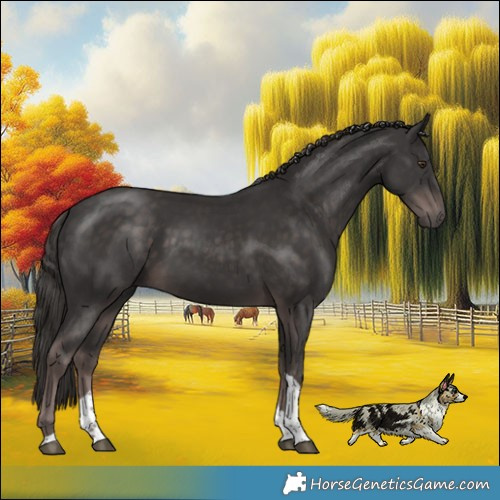 Horse Color:Platinum Liver Chestnut Tobiano Rabicano