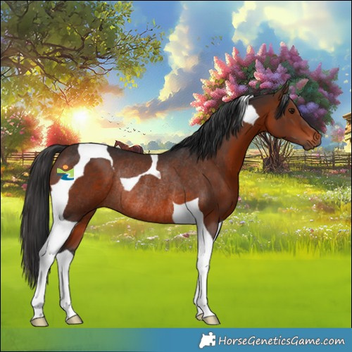 Horse Color:Brown Tobiano Rabicano 