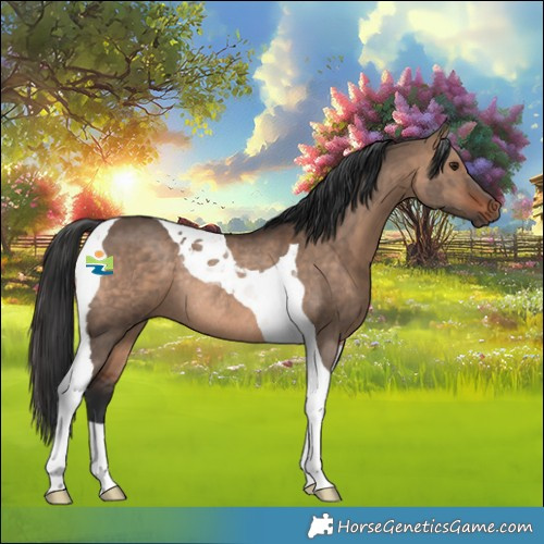 Horse Color:Brown Dun Tobiano Rabicano 