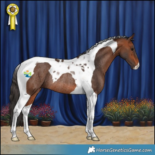 Horse Color:Bay Tobiano Rabicano 