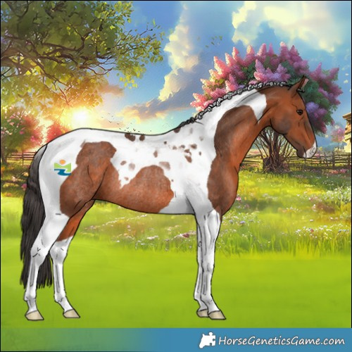 Horse Color:Bay Tobiano Rabicano