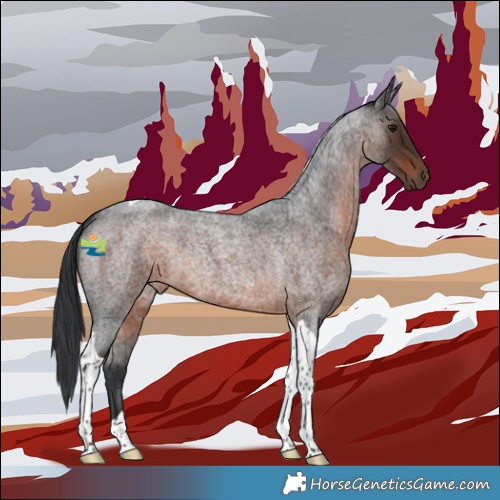 Horse Color:Brown Roan Tobiano 