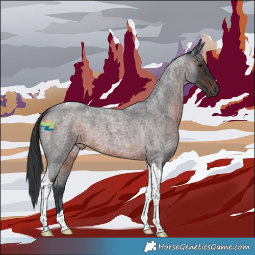 Horse Color:Brown Roan Tobiano 