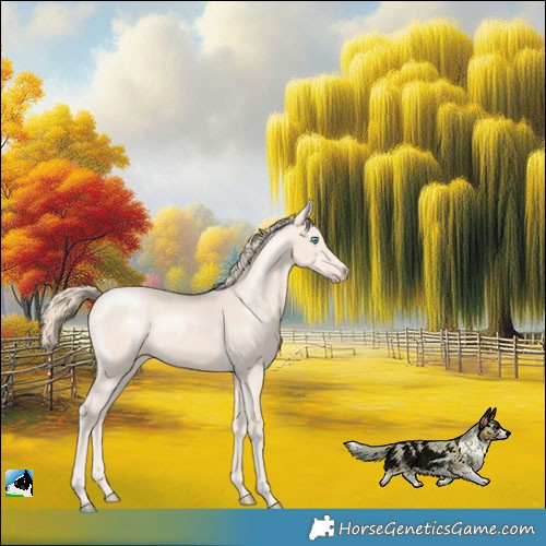 Horse Color:Perlino Mushroom