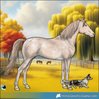 Horse Color:Perlino Mushroom Sabino Rabicano