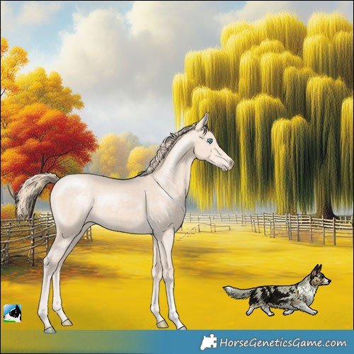 Horse Color:Perlino Sabino 