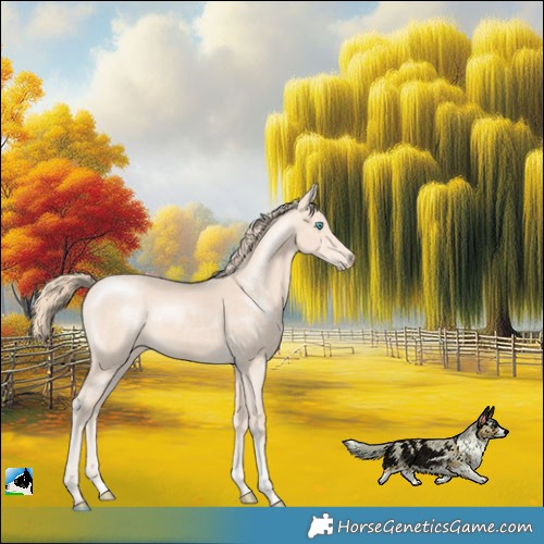 Horse Color:Perlino Sabino 