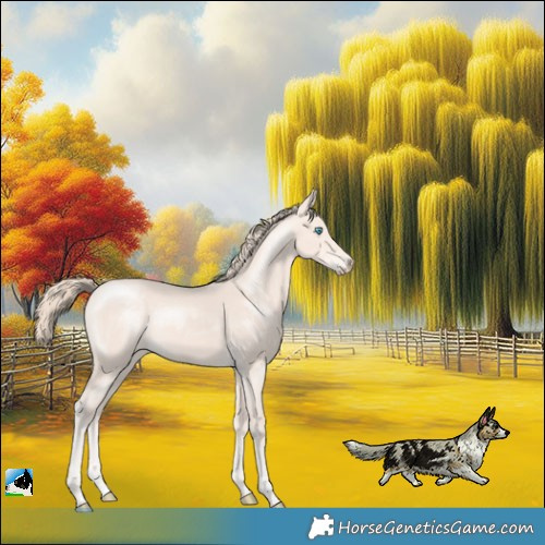 Horse Color:Perlino Mushroom Sabino Rabicano 