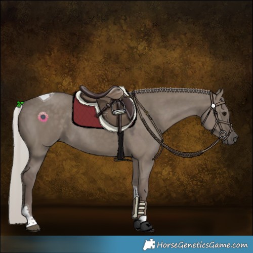 Horse Color:Silver Grullo Tobiano 