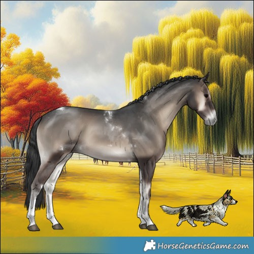 Horse Color:Blue Onyx Tobiano