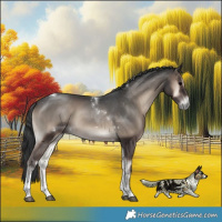 Horse Color:Blue Onyx Tobiano 