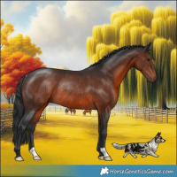 Horse Color:Brown Mushroom Rabicano 